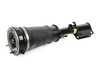 Arnott Arnott Air Strut Assembly - E53 AS-2765 View 3