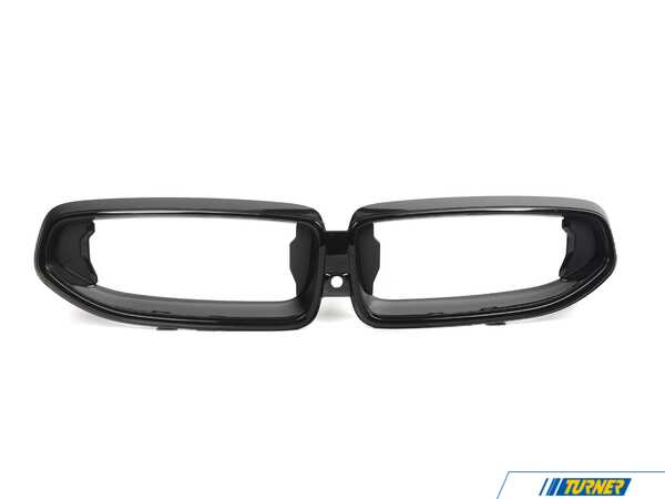 Genuine BMW FRONT ORNAMENTAL GRILLE BLAC 51138098225