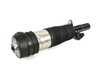 Genuine BMW Front Left Air Strut - G07 37105B69E19 View 1