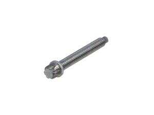 BMW Aluminum Bolt