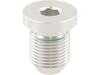 Rein Rein Magnetic Transmission Drain Plug HWU0117 View 1