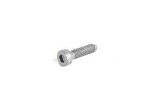 Genuine BMW Fillister-Head Screw - 07119919723 - E53