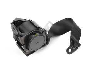 Genuine BMW Top Belt, Rear Outside Schwarz - 72117243309 - F31