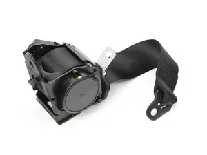 Genuine BMW Top Belt, Rear Outside Schwarz - 72117243309 - F31