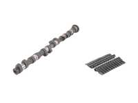 Schrick Schrick Exhaust Camshaft - E46 M3, MZ3, MZ4 (S54) - 272 Degree, 12.5mm Lift TMS11749