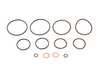 Race German Race German Dual Vanos Rebuild - Seal Kit RGDVNSSK View 2
