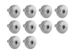 Torx Bolt With Washer - Pack Of 10