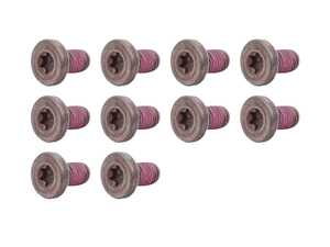 Torx Bolt - Pack Of 10