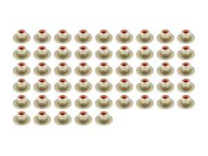 Hex Nut - Pack Of 50