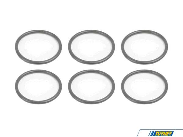 Genuine BMW O-Ring - Pack Of 6 13537787236KT