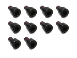 Fillister Head Screw - Pack Of 10