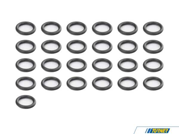 Genuine BMW O-Ring - Pack Of 25 11431715558KT