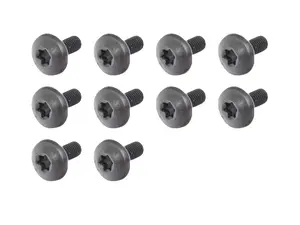 Torx Screw - Pack Of 10