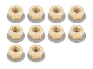 Nut - Pack Of 10