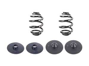 E46 M3 Convertible Factory Replacement Rear Springs with pads
