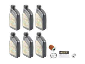 Castrol TWS Oil Change Kit / Inspection I