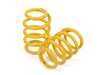 Suspension Techniques ST XTA Plus 3-Way Adjustable Damping Coilover Kit Without EDC/DDC 18202208AG View 2