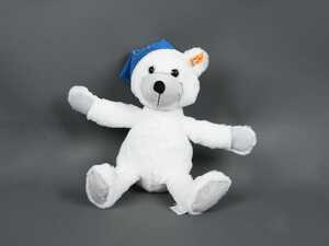 Genuine BMW Teddy Bear with Hat