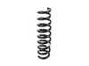 Genuine BMW Genuine BMW Rear Coil Spring - 33536855542 33536855542 View 1