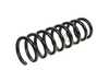 Genuine BMW Genuine BMW Rear Coil Spring - 33532283413 33532283413 View 1