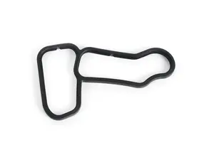 Engine Oil Cooler Gasket