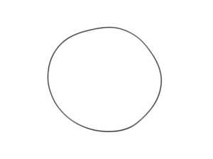Genuine BMW O-Ring 249X3 - 24311421583 - E34,E38,E39