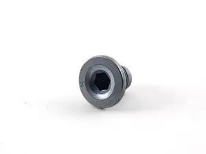 Genuine MINI Screw Plug - 11137585928