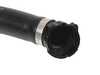 Genuine BMW HOSE, RADIATOR-ENGINE 17129797611 View 3