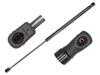 Meyle Gas Spring - Rear Hatch 3409100023 View 1