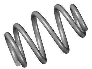 Rear Coil Spring