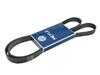 Meyle Meyle Accessory Belt - Alternator/Water Pump/Power Steering - E36 E34 E39 Z3 M50 M52 S50 & S52 6 Cylinder 0500061555 View 1