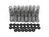 Supertech Performance Dual Valve Spring Kit with Steel Retainers - Set Of 24 SPRKFE20N54BE View 2