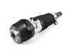 Genuine BMW AIR SPRING STRUT, FRONT LEFT - LCI G07 X7 M60i, Alpina XB7 37105B69E23 View 2