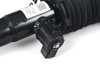 Genuine BMW AIR SPRING STRUT, FRONT LEFT - LCI G07 X7 M60i, Alpina XB7 37105B69E23 View 4