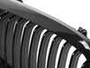Bimmerworld Gloss Black Front Grilles - E46 Coupe 2004-2006 (Post-Facelift) BM-4604G View 2