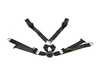 Schroth Schroth Profi XLT 2x2 Racing Harness - Black - Pull Down SR-94580-0 View 3
