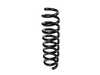 Genuine BMW Genuine BMW Rear Coil Spring - F30 3 Series 33536851728 View 1