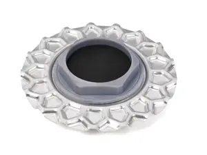 TCEuro BBS Center Cap 171mm Unpainted