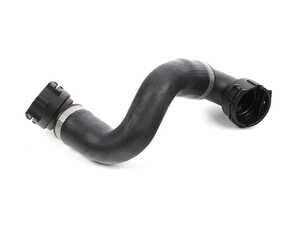 Radiator Hose - Lower