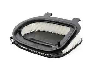 F25 Engine Air Filter - 13717811026