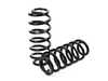 Arnott Arnott Coil Spring Conversion Kit - Rear - BMW F15/F85 X5, F16/F86 X6 w/VDC C-5689 View 2