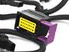 Dinan Dinan DINANTRONICS X Performance Tuner - G42 230i, G20 330, G22/23 430 B46 D440-0162 View 11