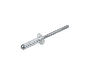 Genuine BMW Blind Rivet - 41007254476
