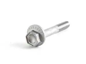 Genuine BMW Eccentric Bolt - 33303411801