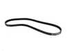 Continental OEM Continental Air Conditioner Belt - E46 E39 E53 E83 E85 - 2003+ 11287512762 View 4