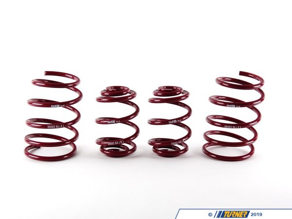 H&R H&R Race Spring Set - E36 318ti Compact 29593
