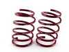 H&R H&R Race Spring Set - E36 318ti Compact 29593 View 6