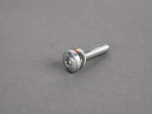 Genuine BMW Torx Bolt M6X25 - 24111421207 - E34,E38,E39