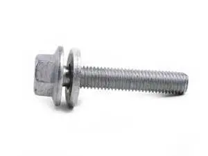 Genuine BMW Hex Bolt With Washer - E46, E53