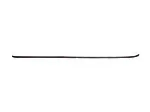 Genuine MINI Roof Molding / Rain Gutter - Left